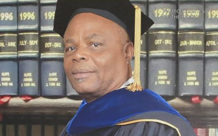 Nigerian man kills father, stabs sisters in US