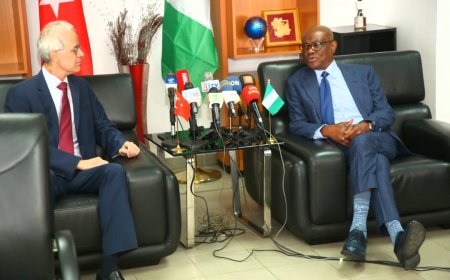 Turkey to issue visas directly to Nigerian businessmen