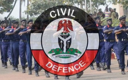 NSCDC arrests 15 for illegal mining in Edo