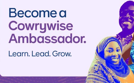 Cowrywise Ambassador Program For Undergraduates 2025 (Scholarships & Internships Available)