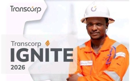 Transcorp Young Engineer Development Program (Transcorp Ignite 2026) For Nigerians | How To Apply