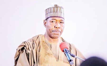 B’Haram: Zulum meets COAS, says ‘the worst’ is over