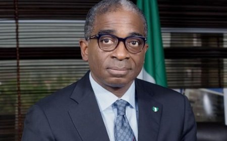 Olusegun Awolowo, a grandson of the late Chief Obafemi Awolowo, has died.