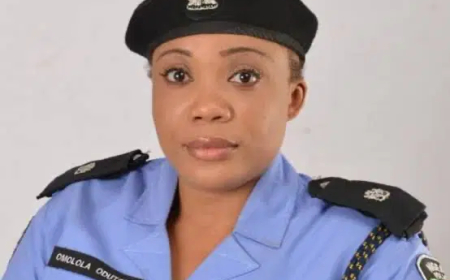 Fake doctor sexually assaults, defrauds woman in Ogun