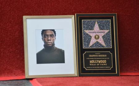 Black Panther’ star Chadwick Boseman gets Hollywood star