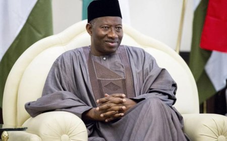 Niger Delta suffered because of personal interests –Jonathan