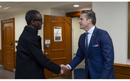 Insecurity: US defence chief asks FG to be decisive