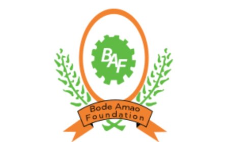 Bode Amao Foundation Scholarship (BAF) For Nigerians | Step-by-Step Process