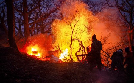 Iran seeks help as fire engulfs UNESCO forests