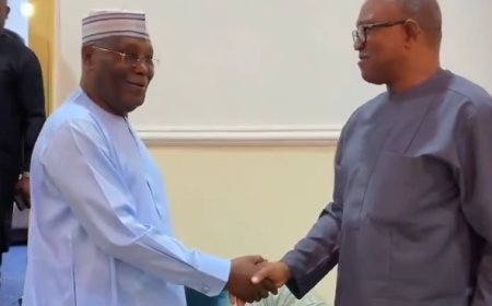 Why Atiku, Obi were absent at secretariat launch – ADC