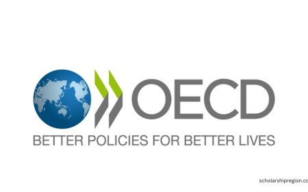 OECD Young Associate Program 2026 (Paid Opportunity) | How To Apply