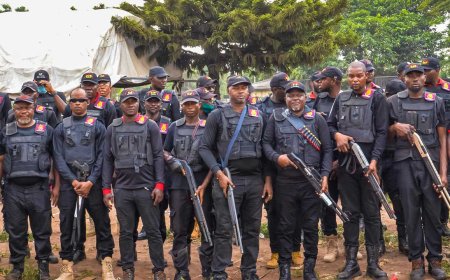 Security operatives arrest kidnappers, demolish base in Edo