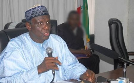 Bandits fear air strikes, may be abducting children as human shields — Gana