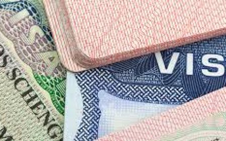 UK, Canada, Australia unveil campaign to tackle visa fraud