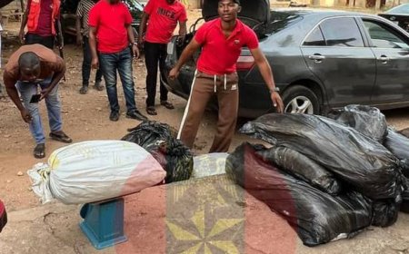 Army foils drug shipment, hands suspect to NDLEA in Kogi