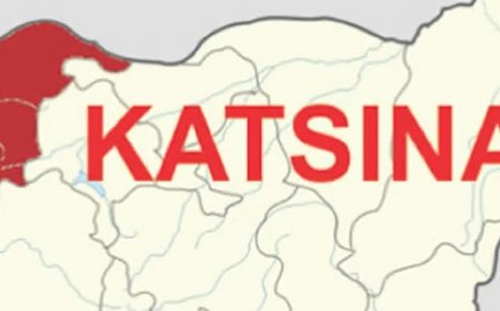 Katsina adopts new measures to curb sexual, gender-based violence