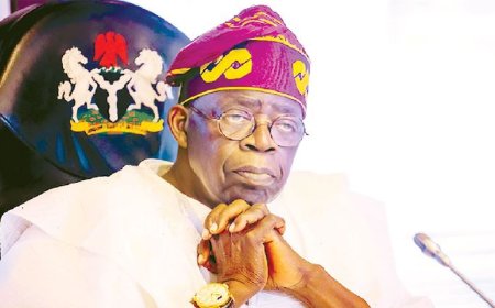 Tinubu orders total security cordon on Kwara forests, says aide