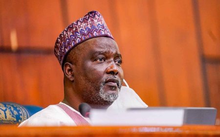 B’Haram members found on army, police recruitment lists – Wase