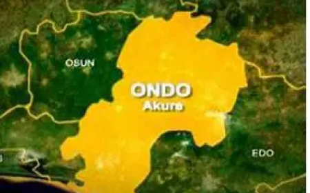 2 suspects arrested for stabbing police officer to death in Ondo