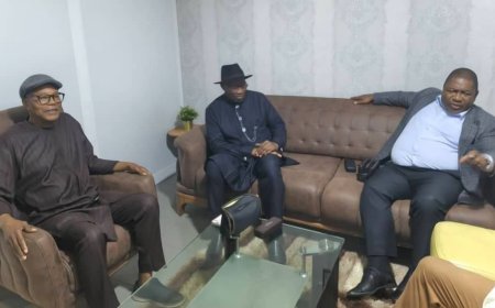 Ensure Jonathan’s safe return to Nigeria, Reps tell FG