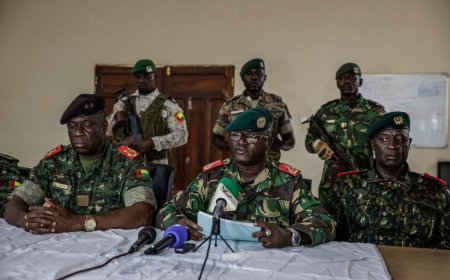 Military appoints new leader in Guinea-Bissau after seizing power