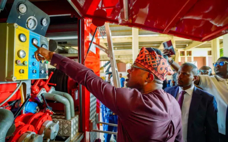 Insecurity: Interior minister storms NSCDC, Fire Service in unannounced audit