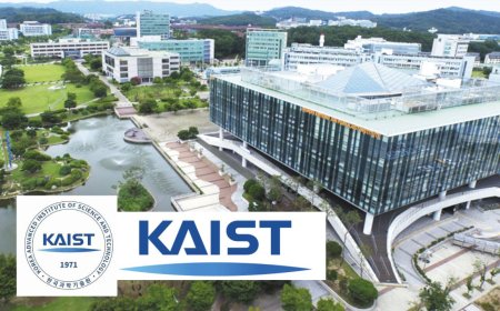 2026 KAIST Undergraduate Scholarship in Korea | Fully Funded