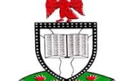 NIS confirms killing of three operatives by Lukarawa terrorists