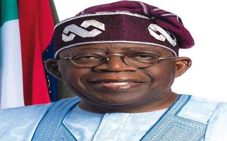 Tinubu hails Nigeria’s return to maritime organisation council after 14 years