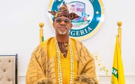 Pollution: Ogun plans free lead poisoning tests for industrial community