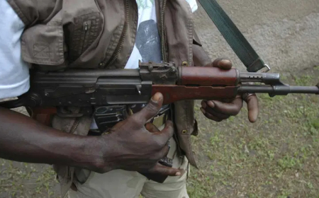 Bandits storm Sokoto village, abduct bride, several wedding guests