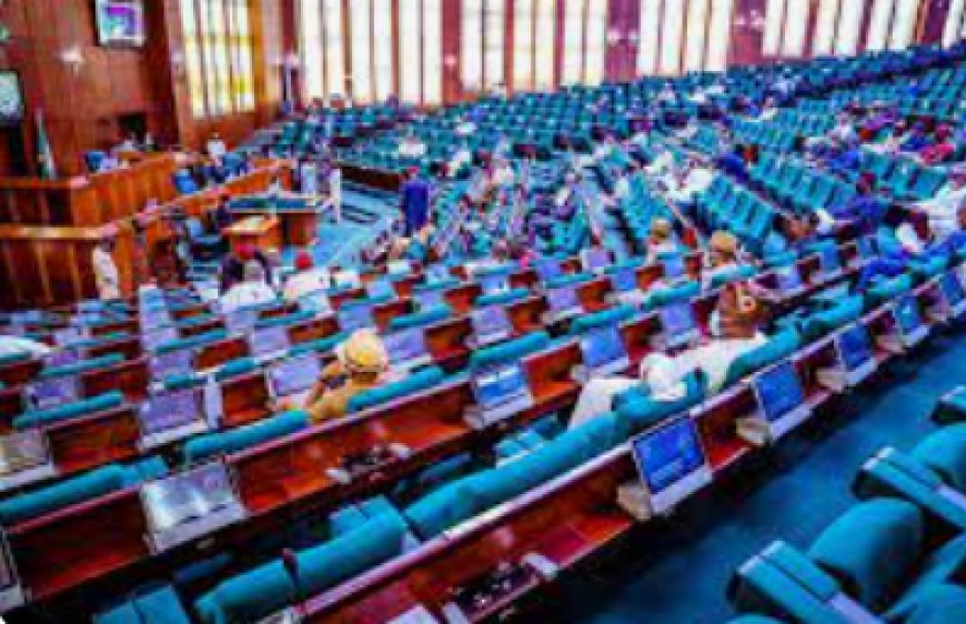 Reps propose N3,500 daily wage for unskilled labour