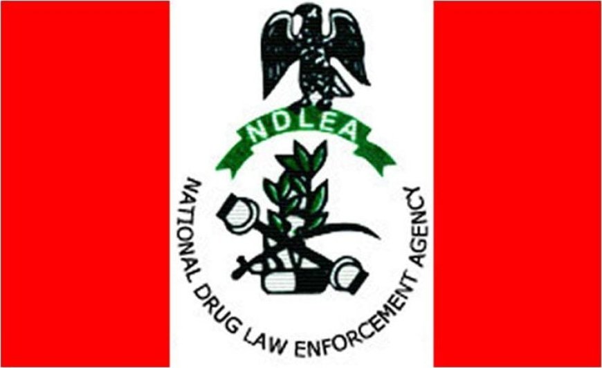 NDLEA arrests musician, uncovers Lagos illicit drug laboratory