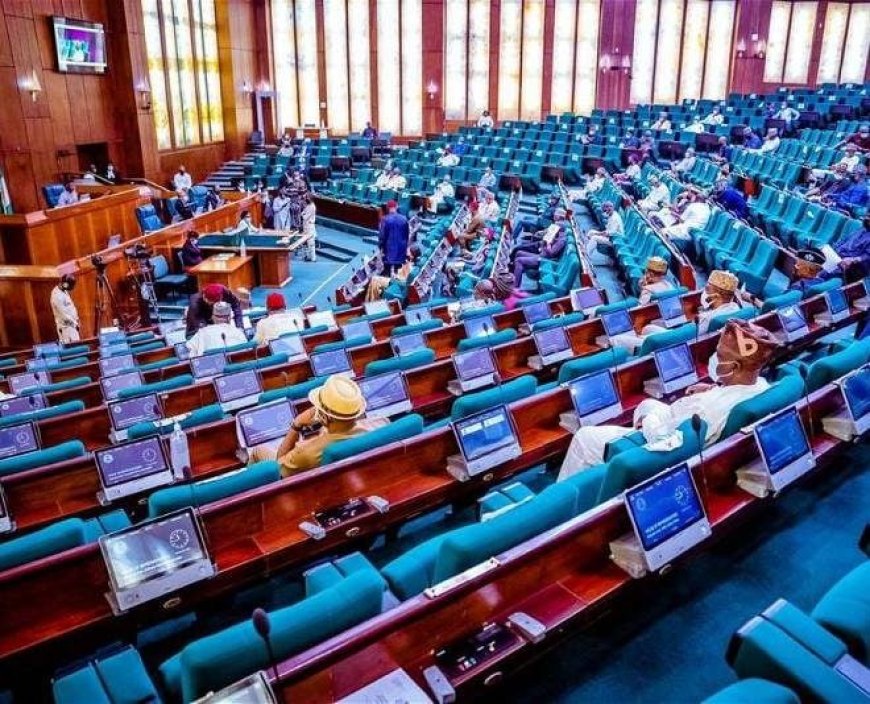 Reps suspend plenary for one week over unpaid contractors’ protest