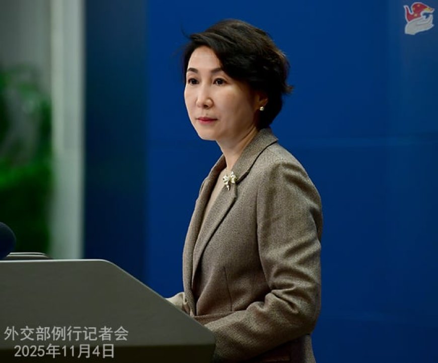 China backs Nigeria, warns against foreign interference