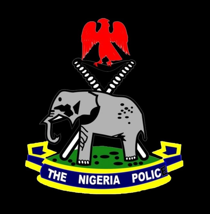 Lagos policemen treated us like criminals, says tech workers
