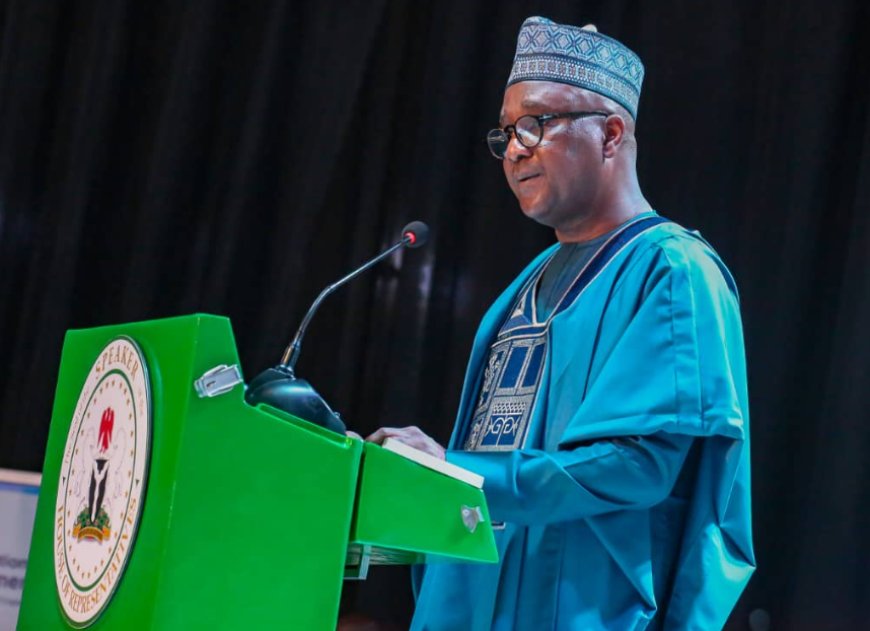 Abbas seeks China’s support for Nigeria’s UN Security council bid