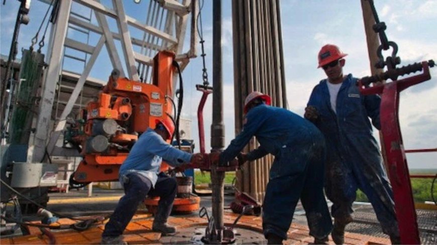 Nigeria risks oil production drop without new discoveries – NAPE