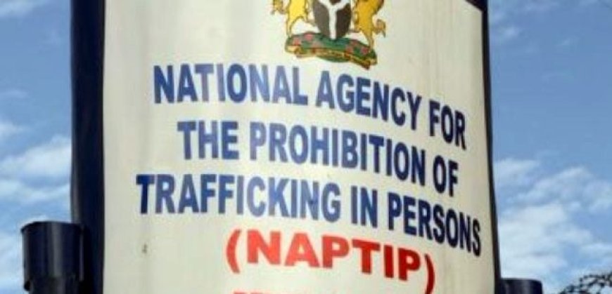 NAPTIP rescues 221 victims of human trafficking in Jigawa