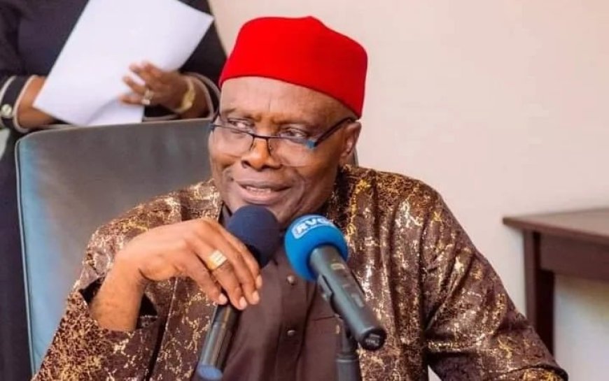 PDP crisis self-inflicted, but convention will proceed — Wabara