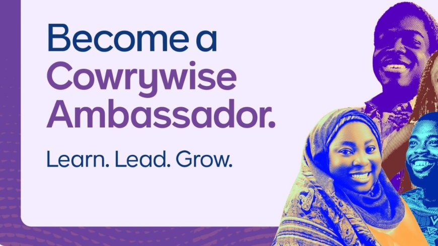 Cowrywise Ambassador Program For Undergraduates 2025 (Scholarships & Internships Available)