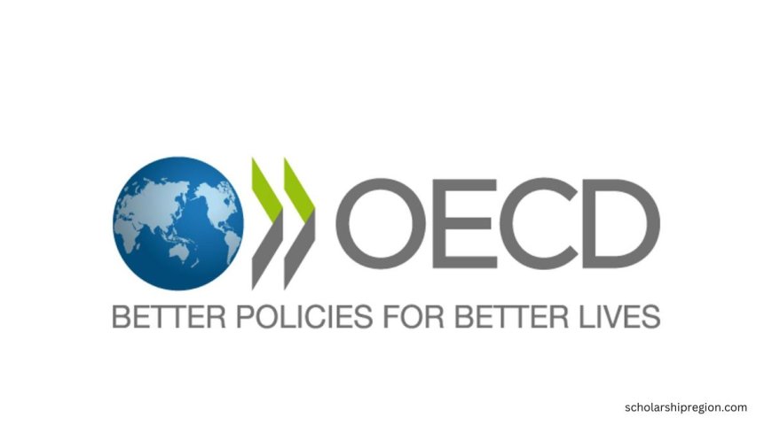 OECD Young Associate Program 2026 (Paid Opportunity) | How To Apply
