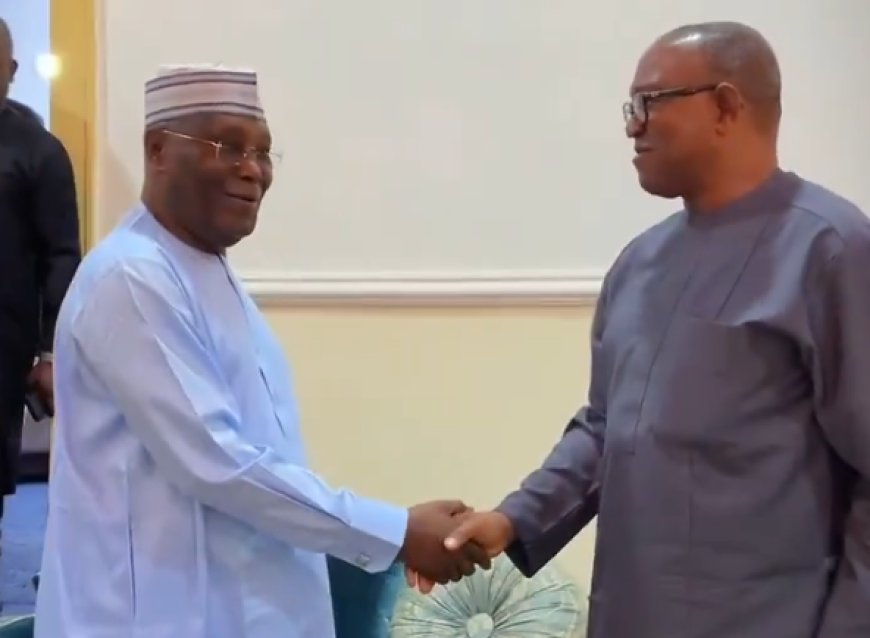 Why Atiku, Obi were absent at secretariat launch – ADC