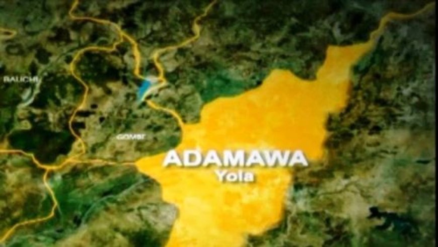 Police arrest three kidnappers after Adamawa schools closure