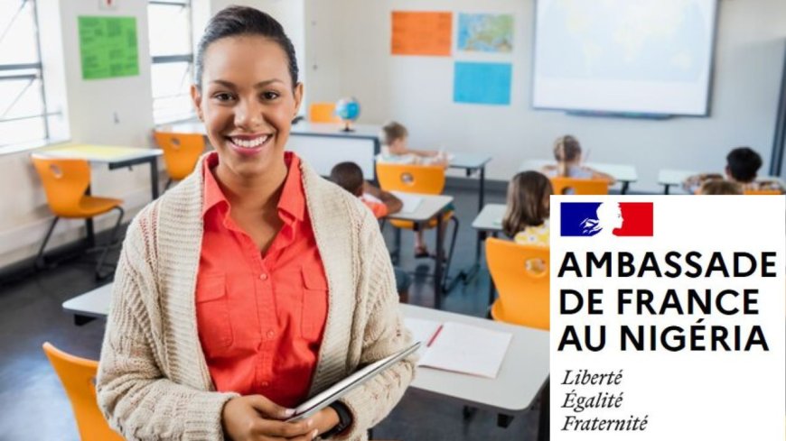 English Language Assistants Program in France 2026 | How To Apply