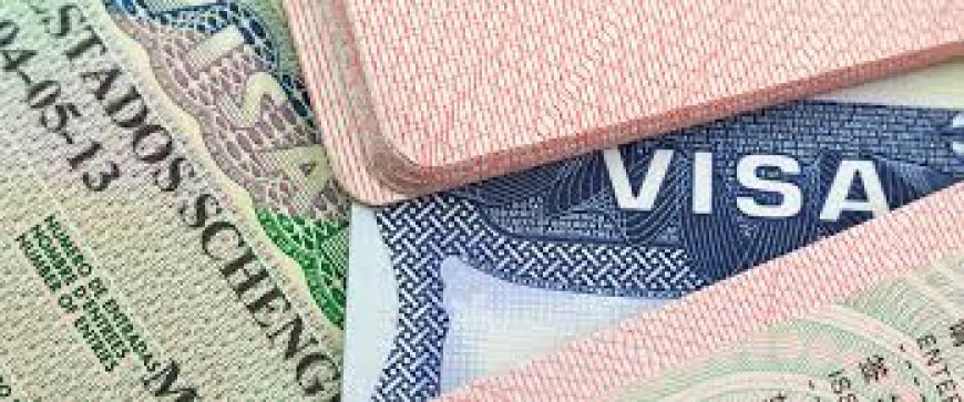 UK, Canada, Australia unveil campaign to tackle visa fraud