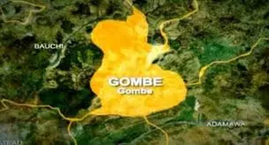 Three die in Gombe road crash
