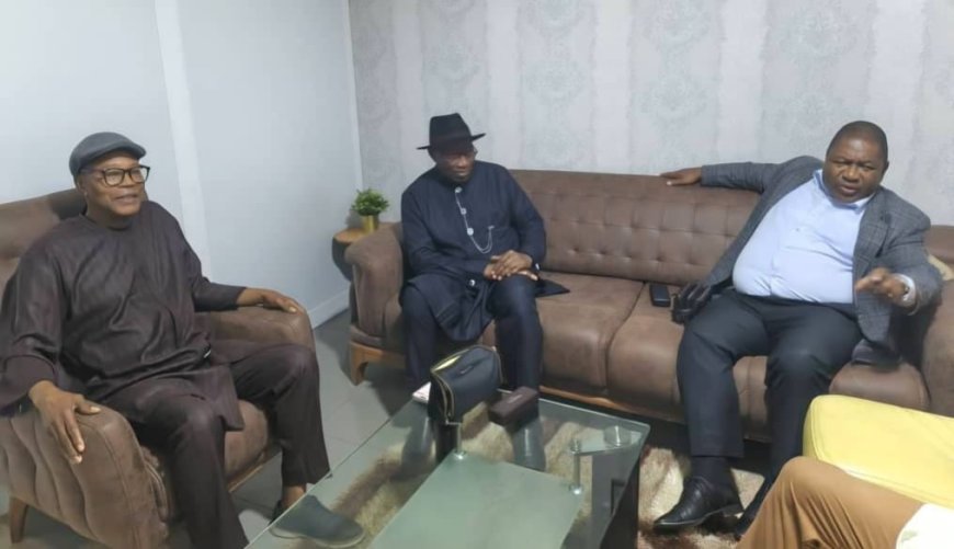 Ensure Jonathan’s safe return to Nigeria, Reps tell FG
