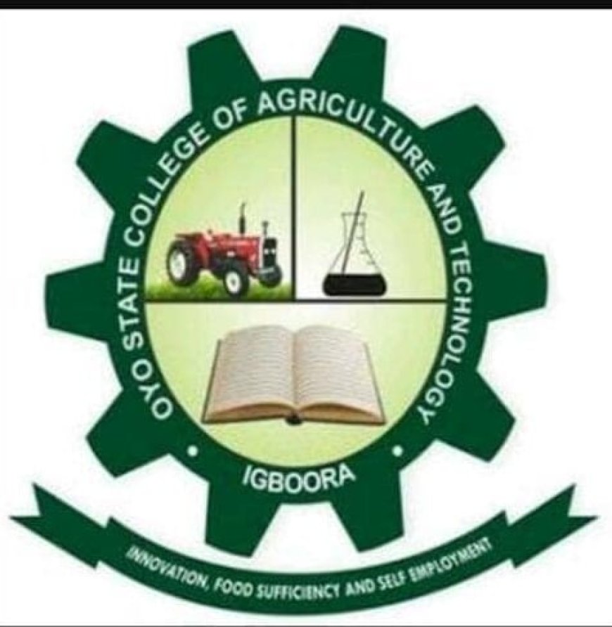 Oyo college debunks viral picture, says campus not under siege