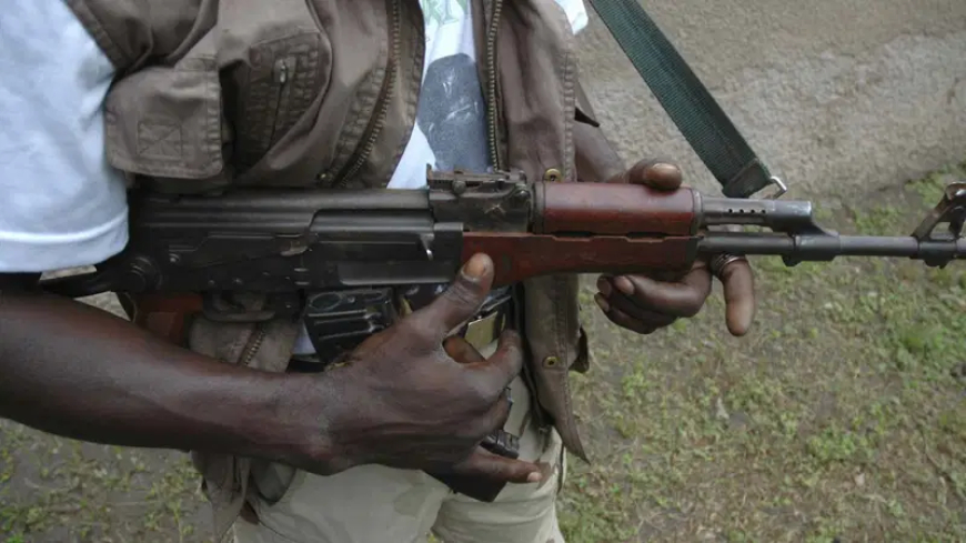 Bandits storm Sokoto village, abduct bride, several wedding guests